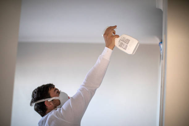 Best Mold Remediation for Schools in China Grove, NC